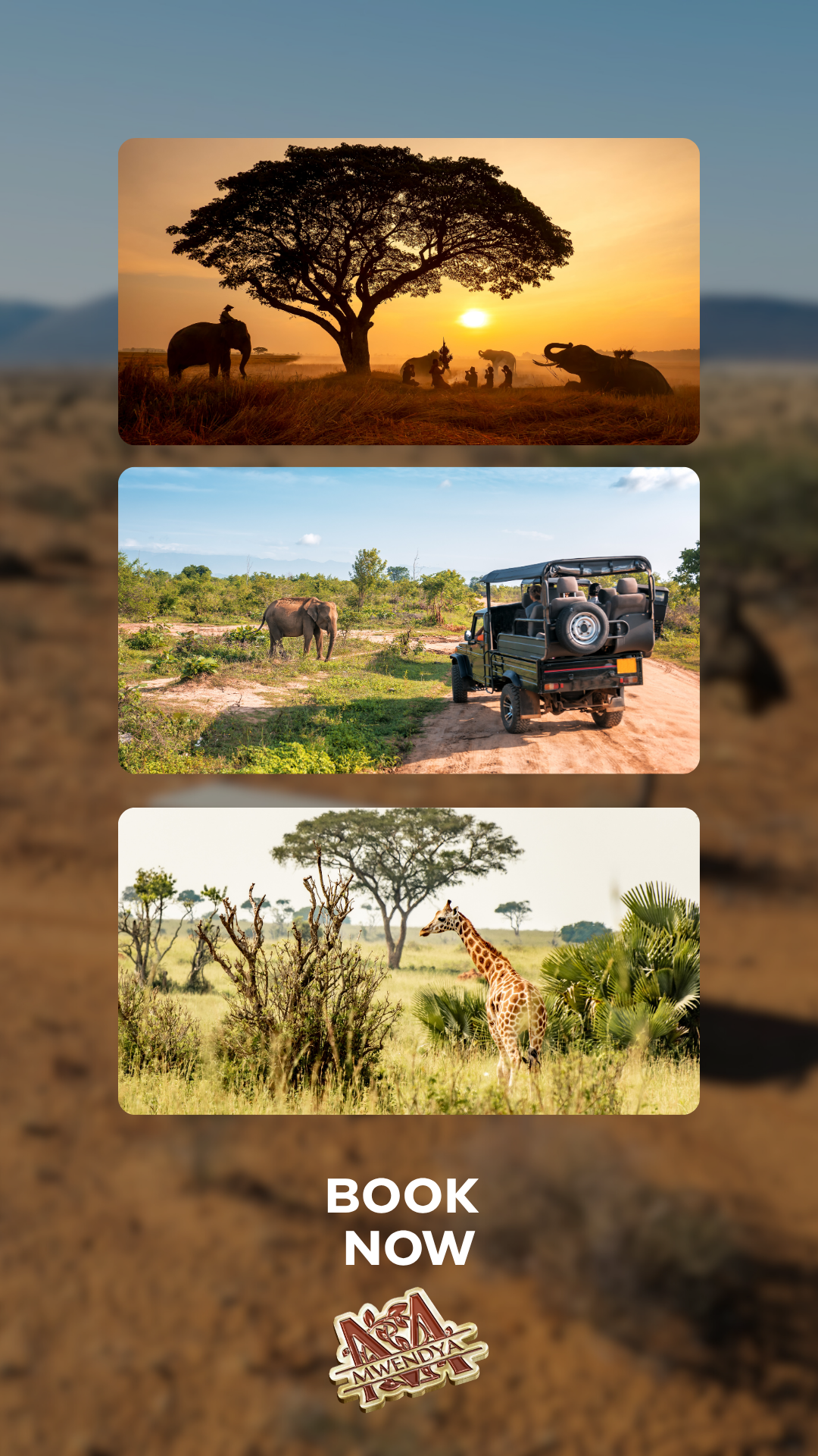 Leaf & Safari Journeys
